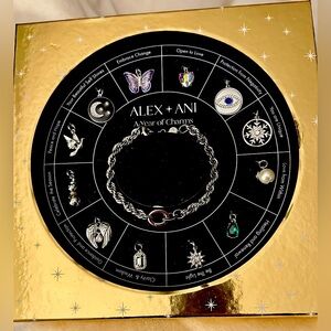 New in Box ALEX & ANI a Year of Charms charm bracelet with 12 individual charms